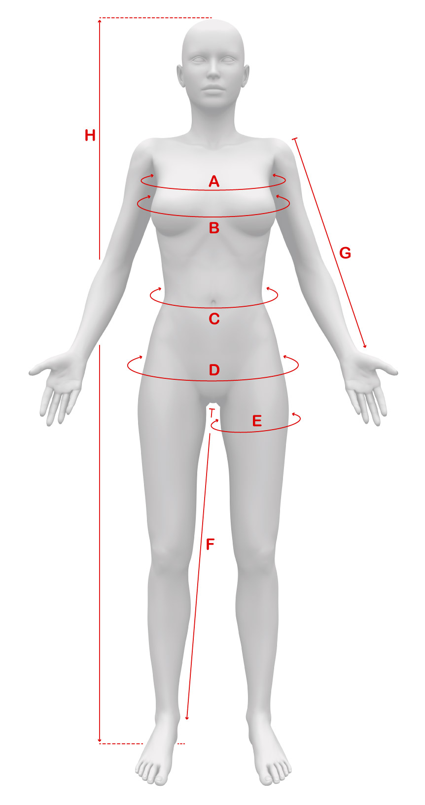 body-female-measurements