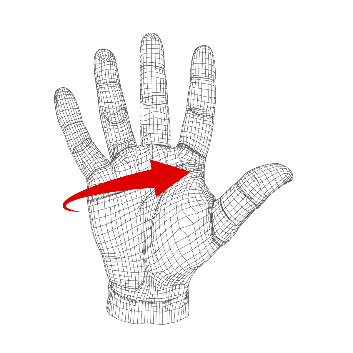 glove-measurements